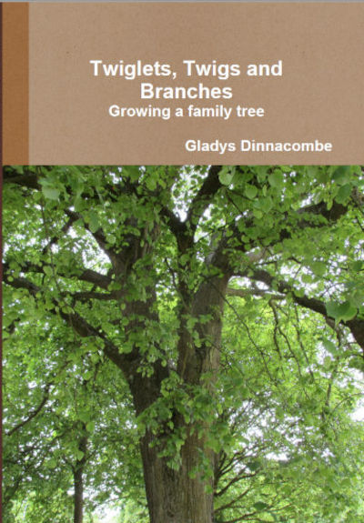 Twiglets, twigs and branches Front Cover