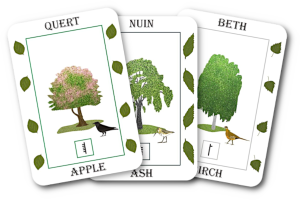 A selection of Tree Medicine Cards